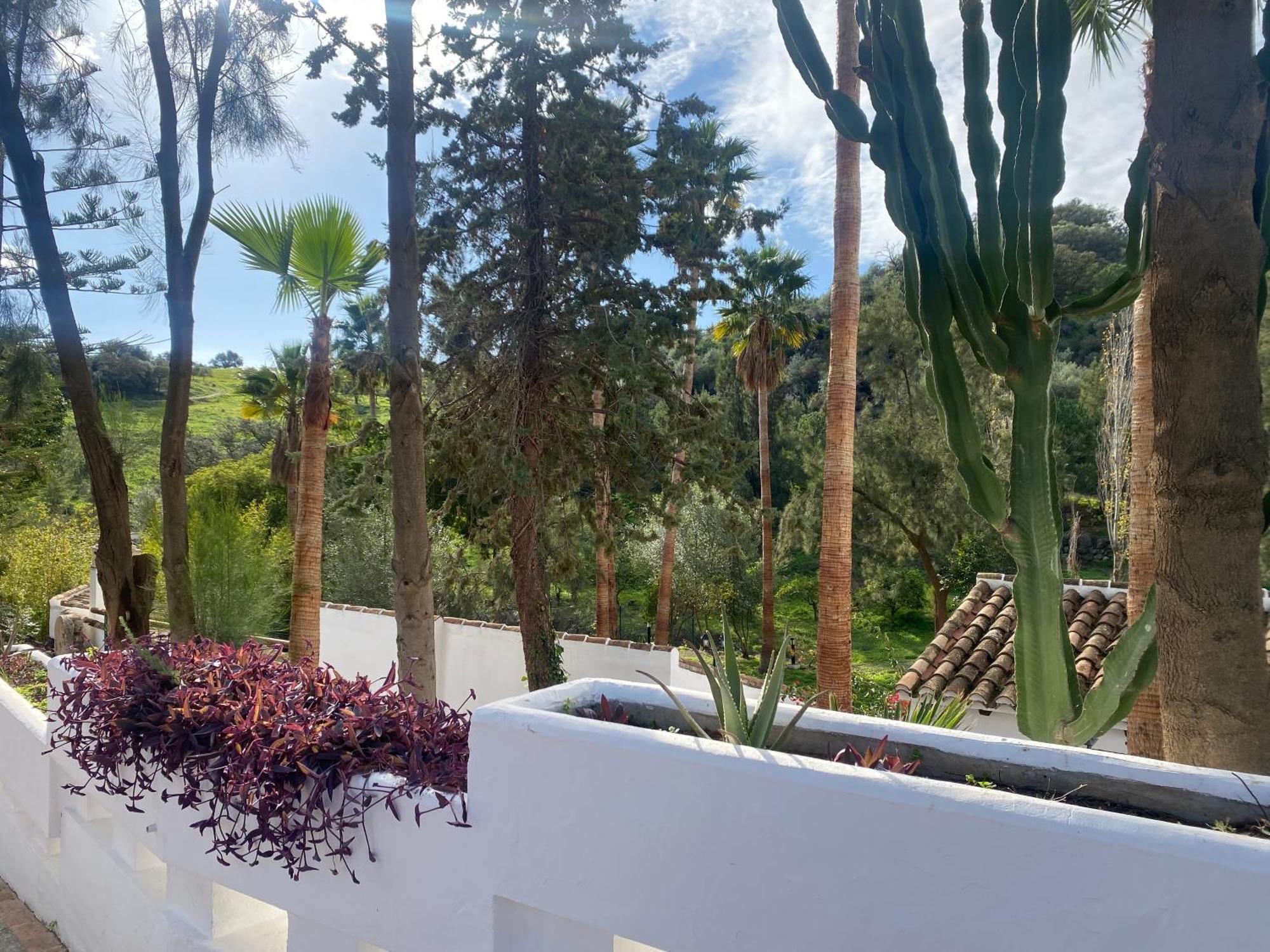 Malaga Sierra De Las Nieves By Real Spain Hotels Adults Recommended Casarabonela Exteriér fotografie
