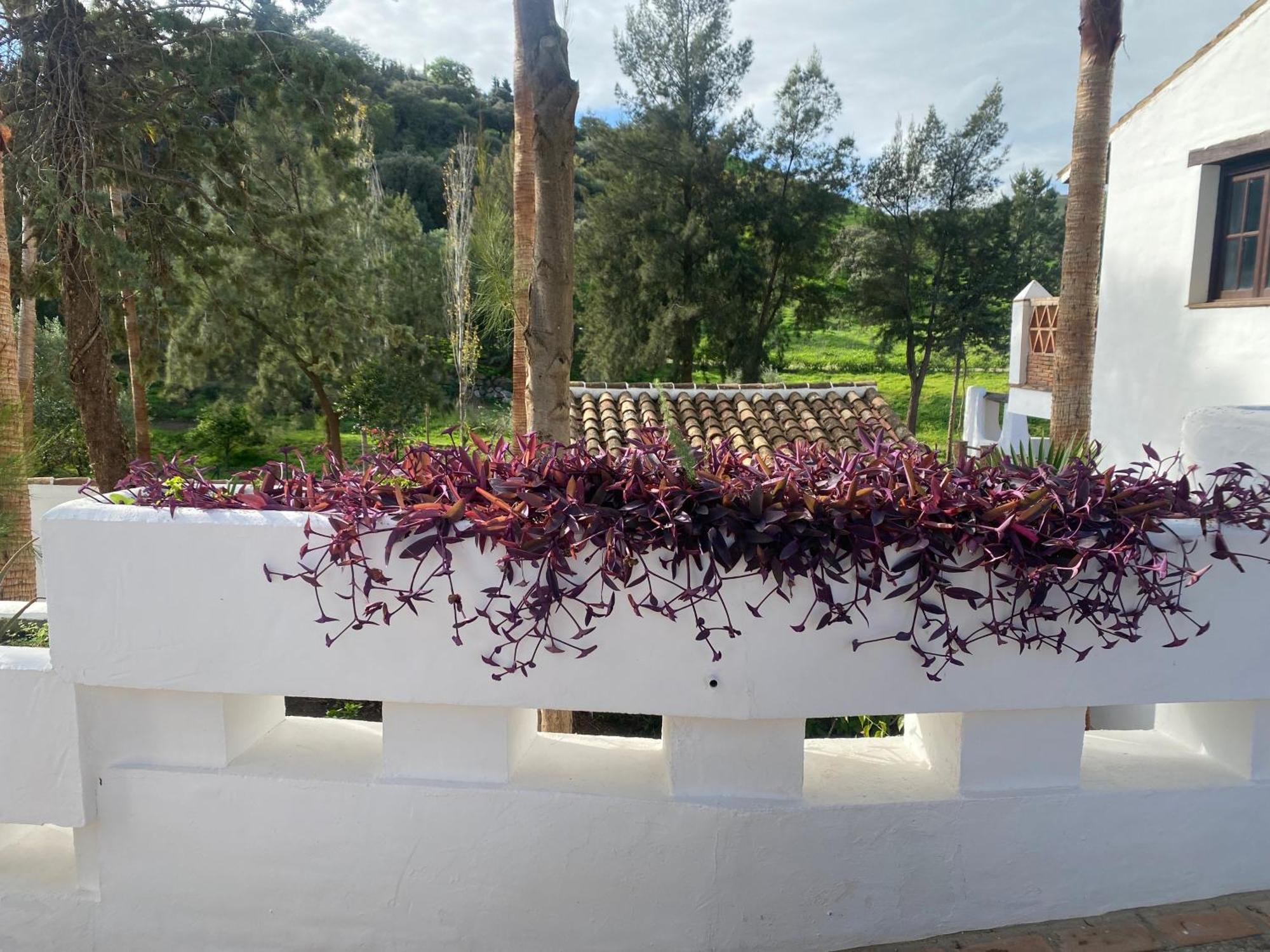 Malaga Sierra De Las Nieves By Real Spain Hotels Adults Recommended Casarabonela Exteriér fotografie